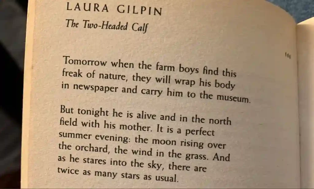 The Two Headed Calf by Laura Gilpin