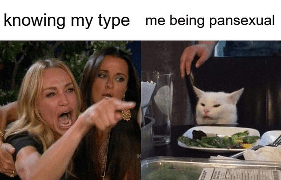 Unveiling the Rainbow Humor: Diving into the World of Pansexual Memes"