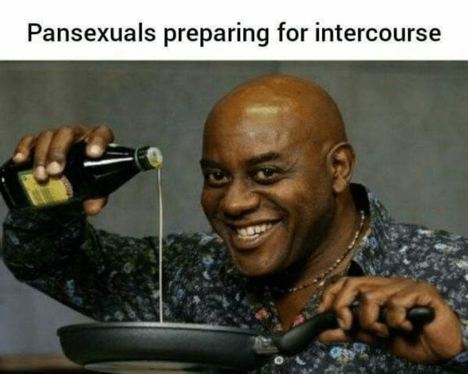 Unveiling the Rainbow Humor: Diving into the World of Pansexual Memes"