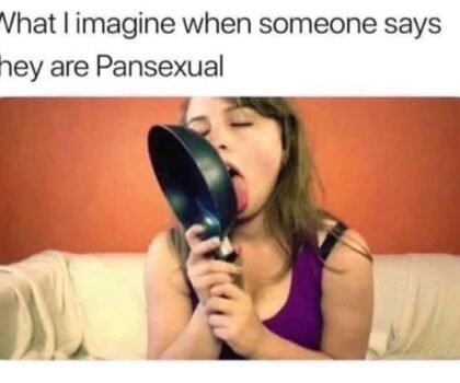 Unveiling the Rainbow Humor: Diving into the World of Pansexual Memes